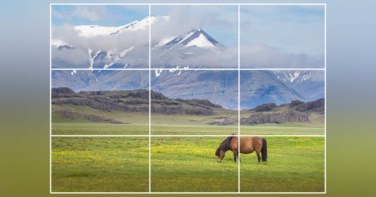 Rule of Thirds in Photography: A Complete Guide