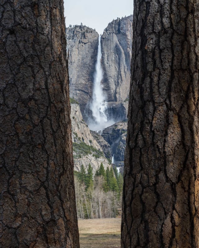 waterfall framed by trees