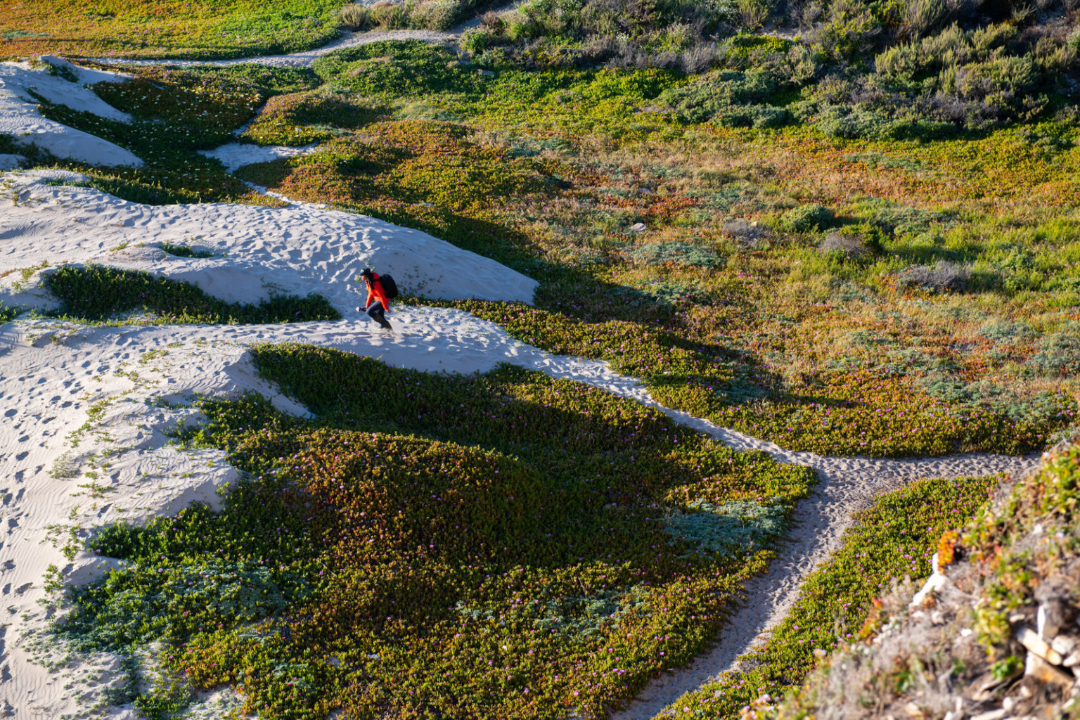 Sapna Reddy: Full-Time Physician and Pro Landscape Photographer | PetaPixel