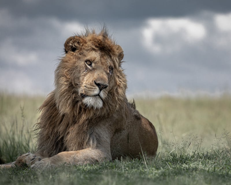 Africa's Best Wildlife Photography Locations and When to Visit Them  PetaPixel