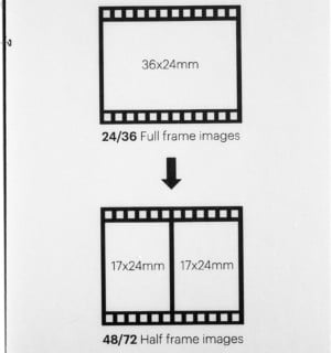 Kodak Ektar H35 Half Frame Camera Review: Out-Of-The-Box Fun | PetaPixel