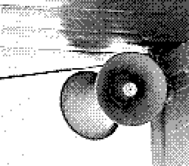 The 2022 Guide to Game Boy Camera Photography