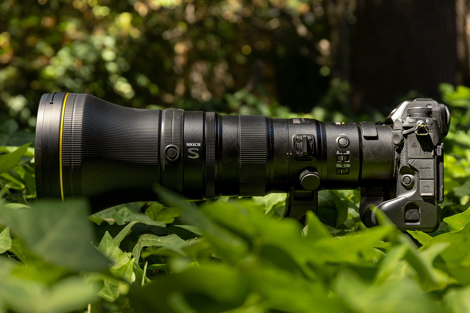 Nikon Z 800mm f/6.3 VR S Review: In a Class of Its Own | PetaPixel