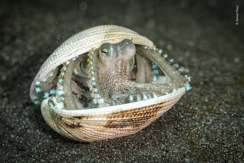 2022 Wildlife Photographer of the Year