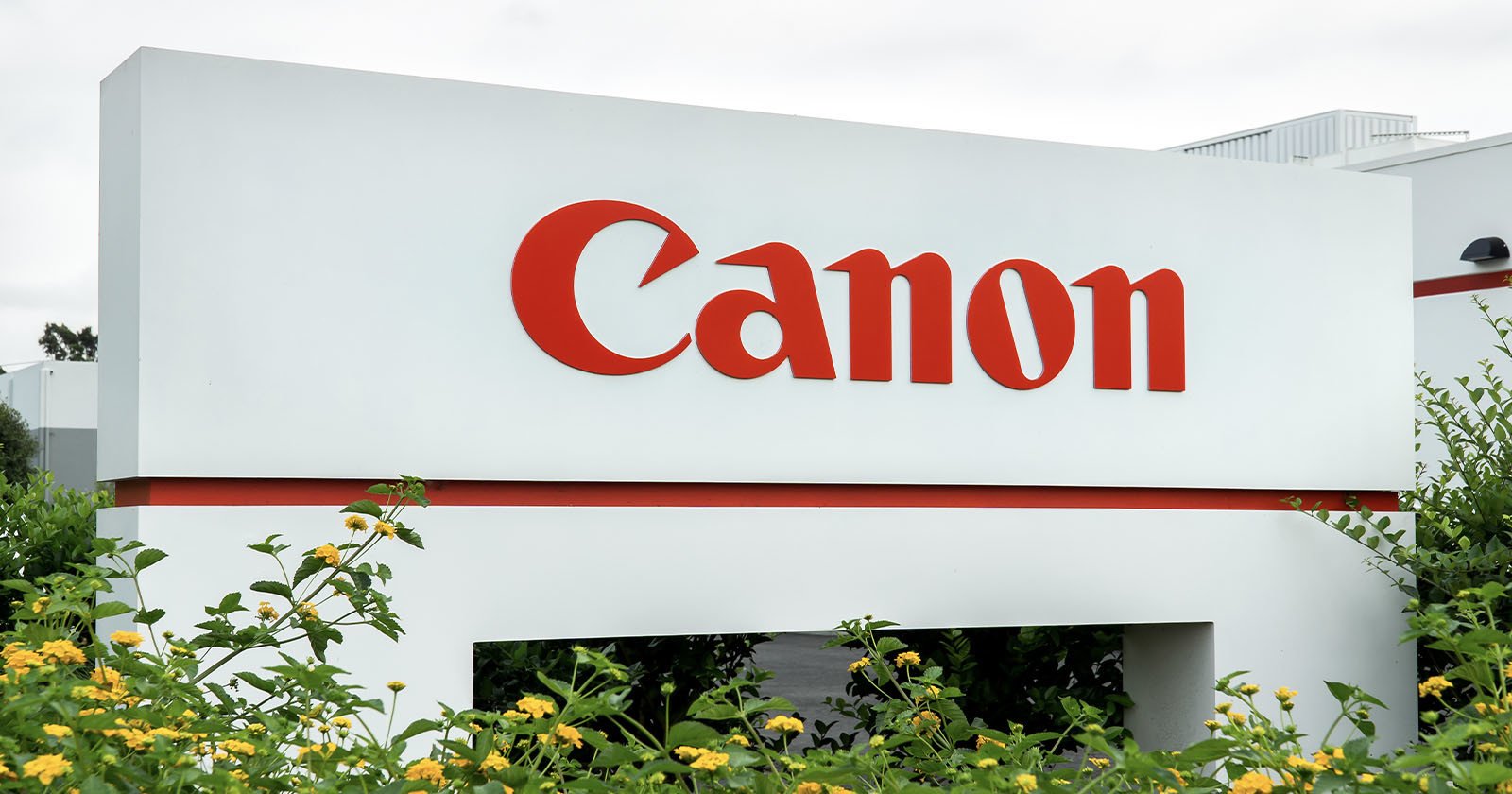 Canon is Riding a Rising Market As Cameras Sell Well