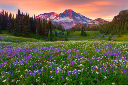 Washington State's Striking Beauty Through the Eyes of 7 Photographers ...