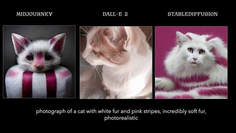 cat comparison
