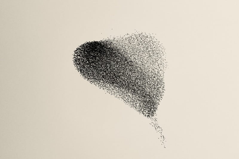 DELA DISCOUNT Forms-of-murmurations-3-800x533 The Winners of the 2022 Minimalist Photography Awards DELA DISCOUNT  