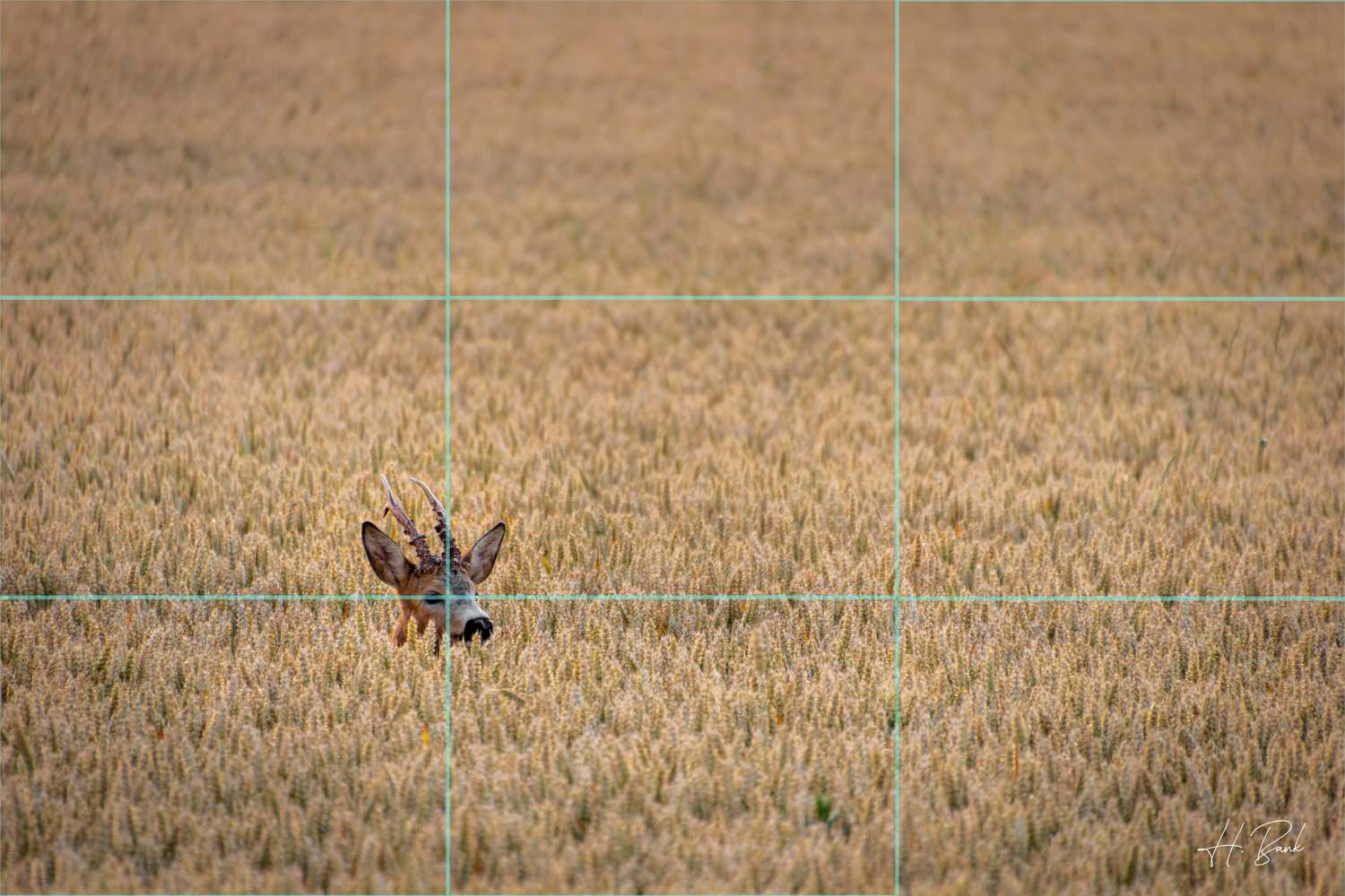 Frame Within a Frame in Landscape Photography | PetaPixel