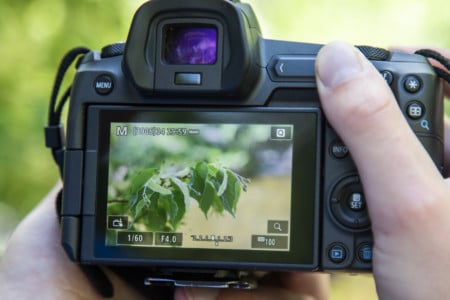 What is Focus Peaking? A Guide to the Manual Focusing Aid | PetaPixel