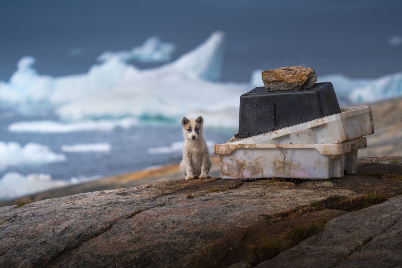 Photographer Captures the Magical Beauty of Greenland's Disko Bay ...