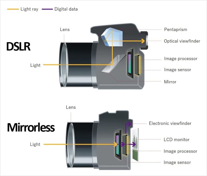 difference in dslr and mirrorless cameras