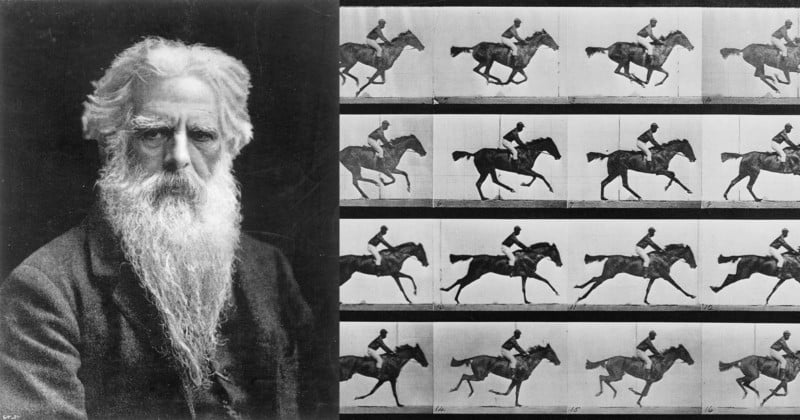 Eadweard Muybridge Horse Galloping 1878