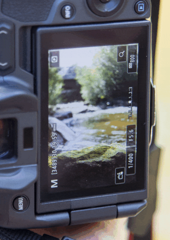 What Is Focus Peaking A Guide To The Manual Focusing Aid PetaPixel