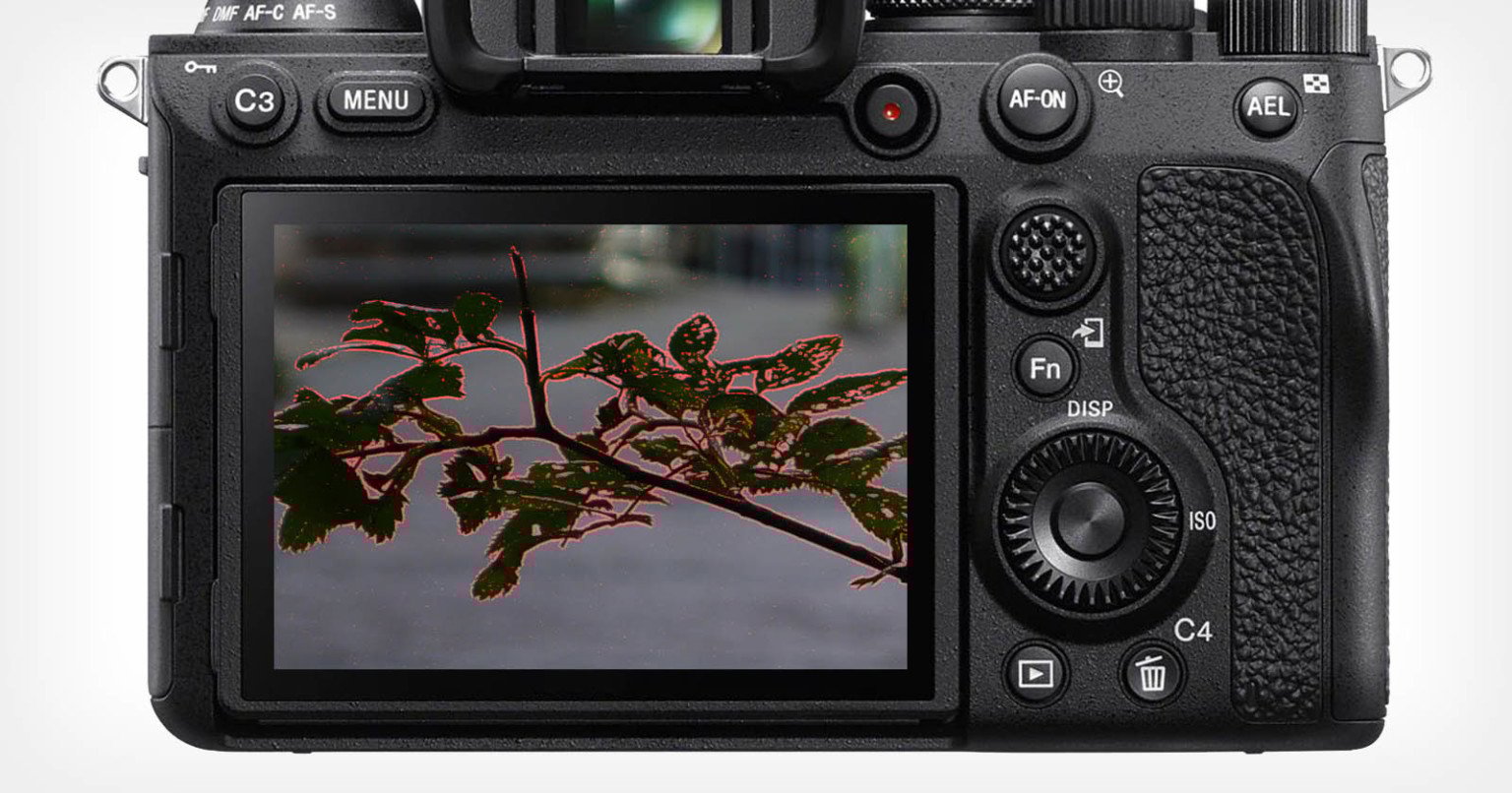 What Is Focus Peaking A Guide To The Manual Focusing Aid PetaPixel What Is Focus Peaking A Guide To The Manual Focusing Aid PetaPixel