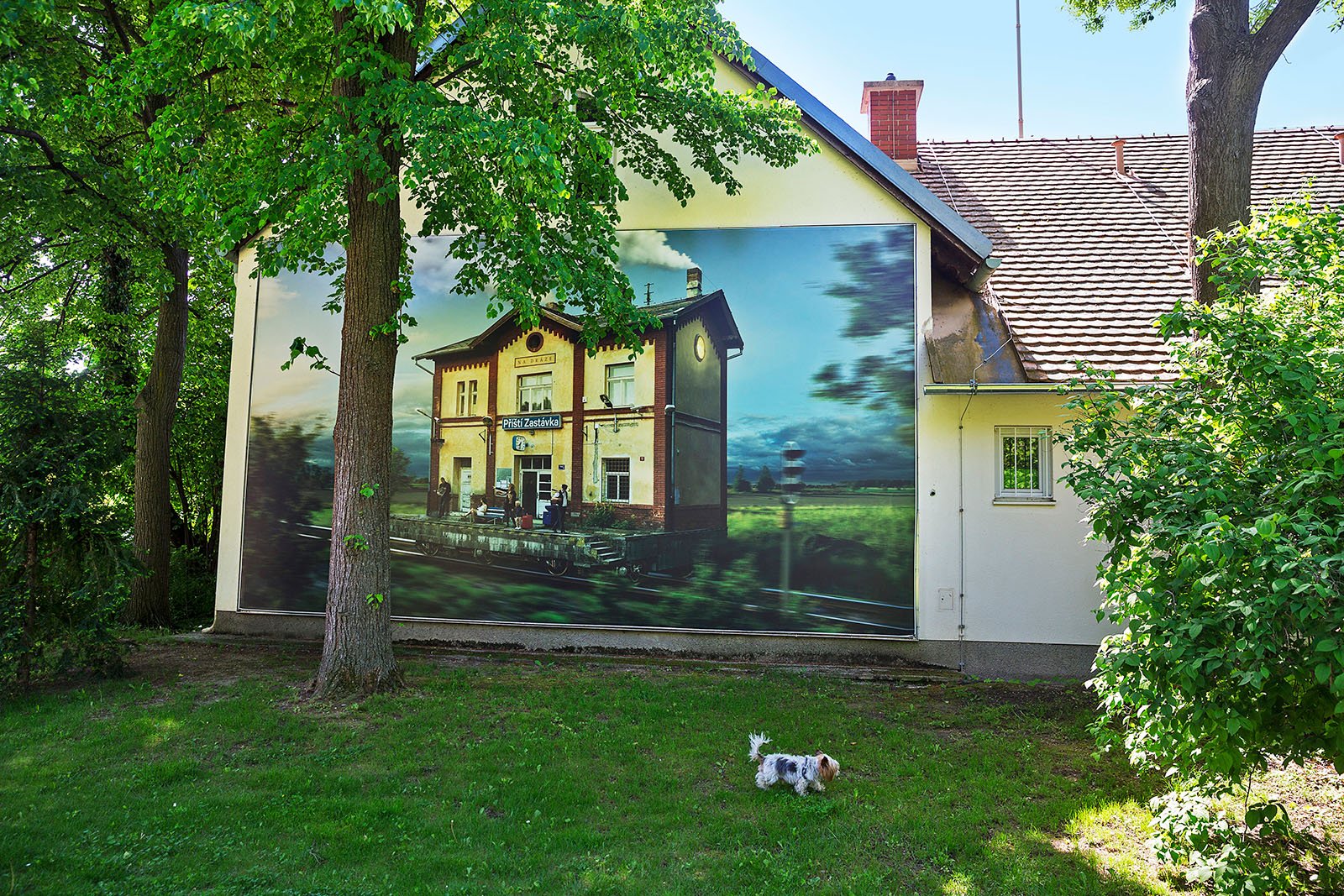 festival-la-gacilly-baden-photo-the-largest-outdoor-photo-festival-in