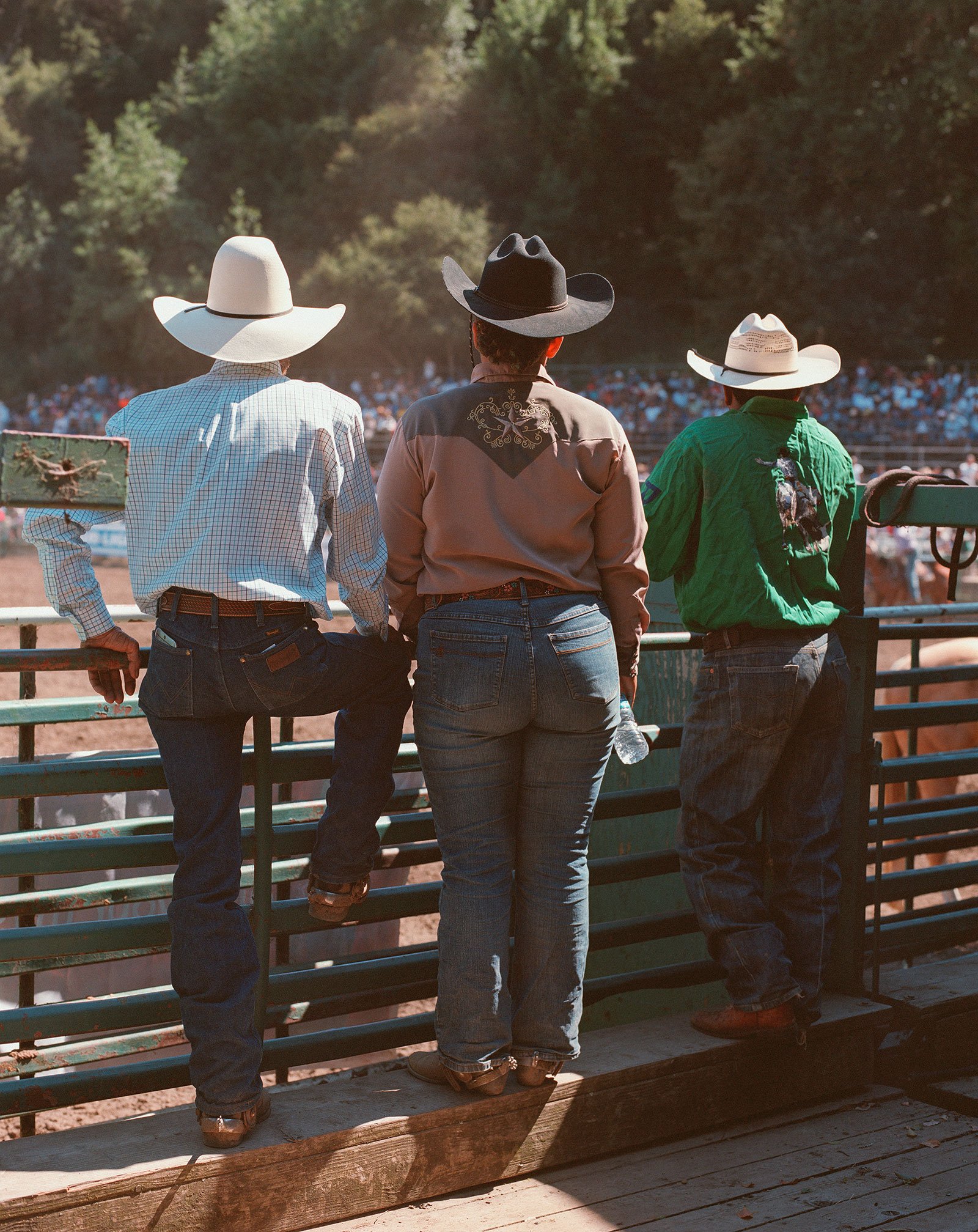 cowboys watching a rodeo from the other side of the fence