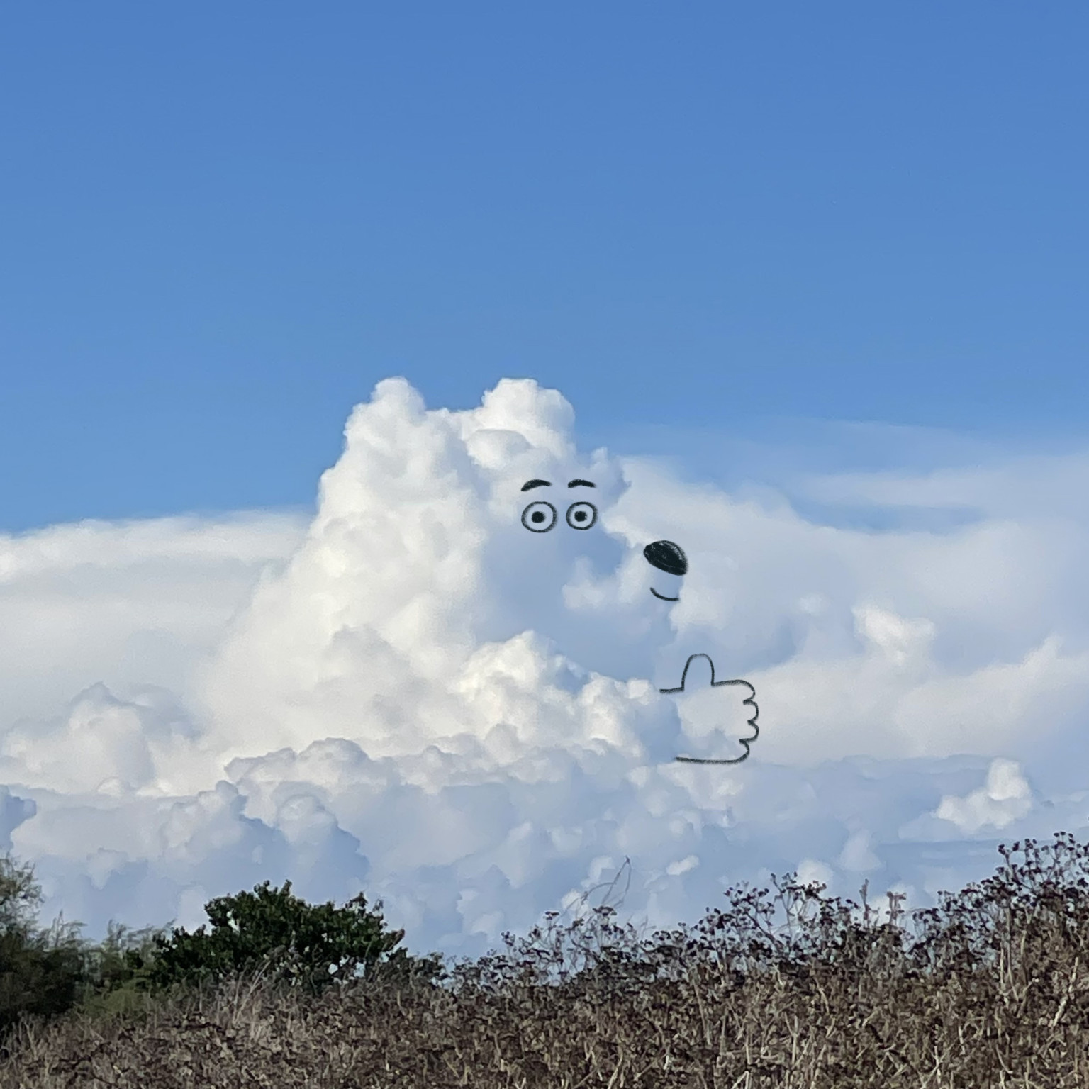 Imaginative Project Fuses Photography and Art to Create Cloud 