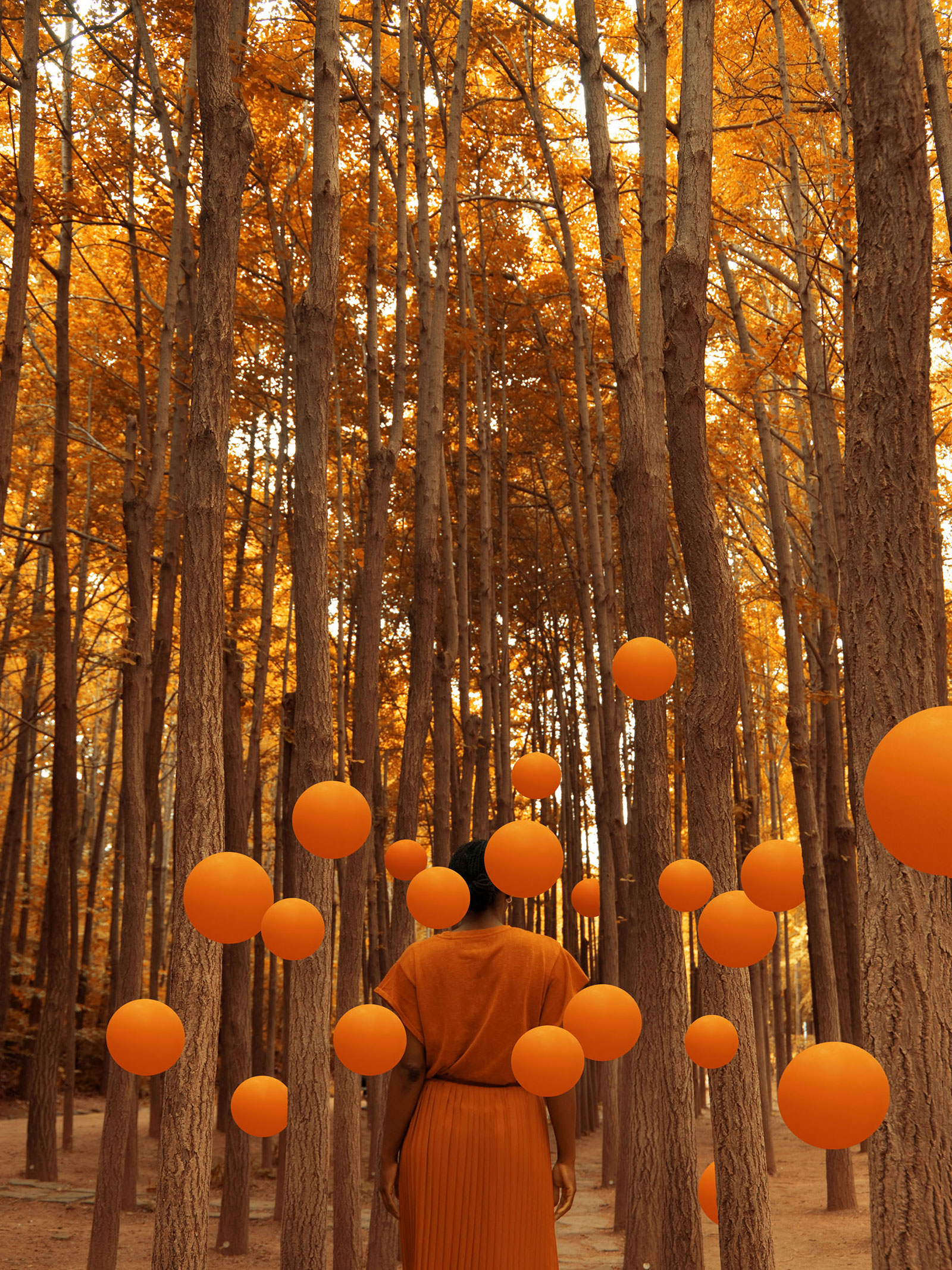 Woman entering into large forest with orange tree around her