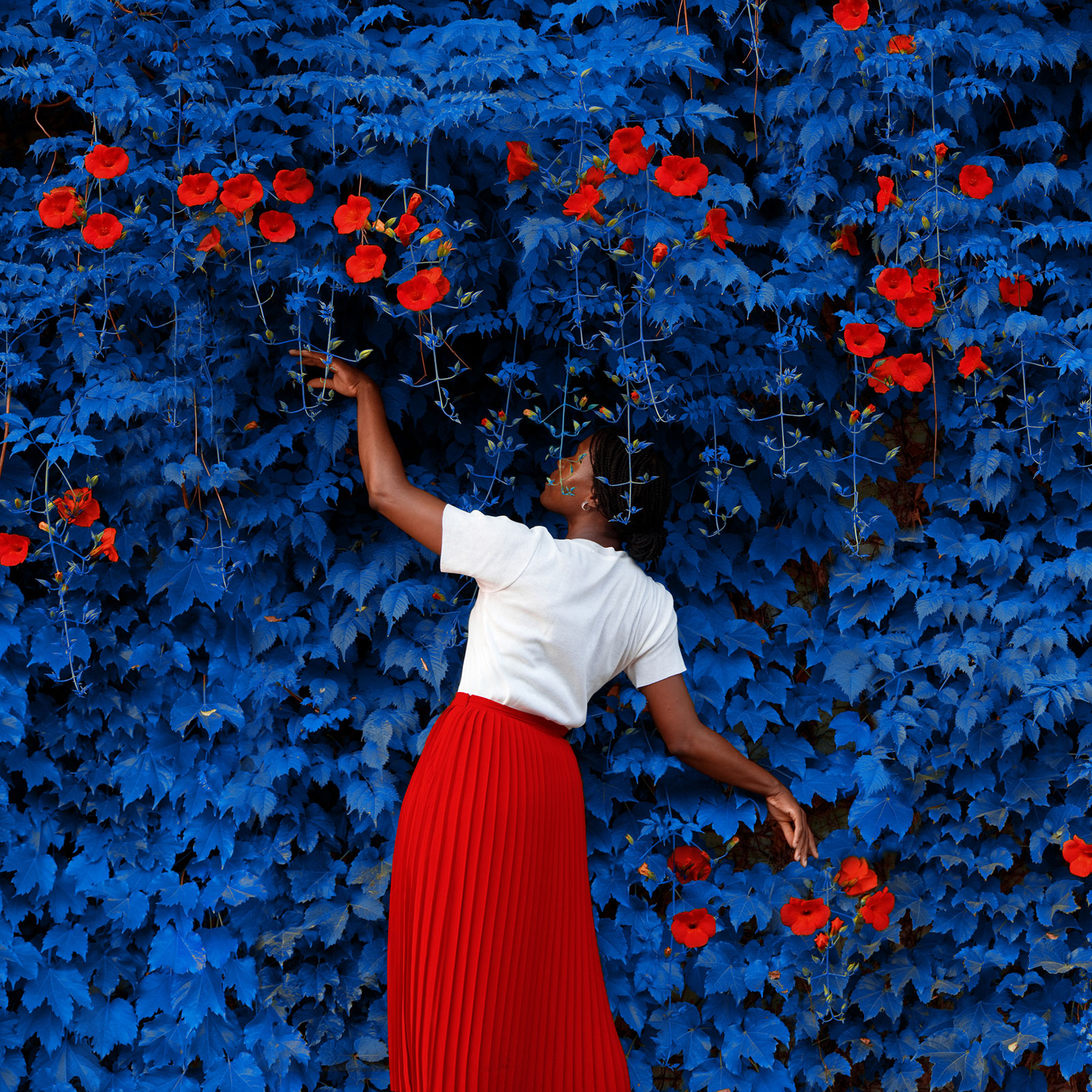 Woman with blue ivy and red flowers