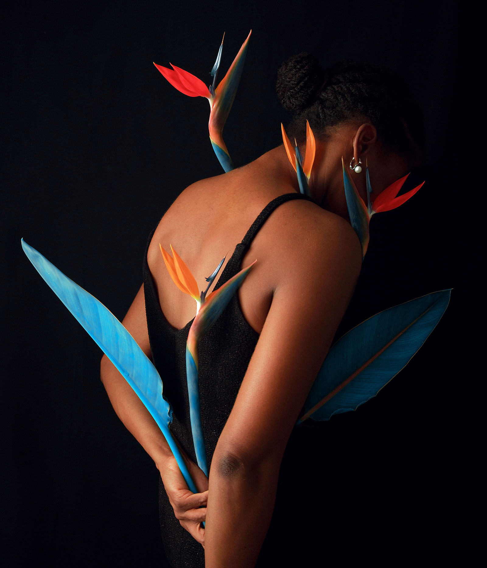 woman with hidden face and black background holding bird of paradise flower