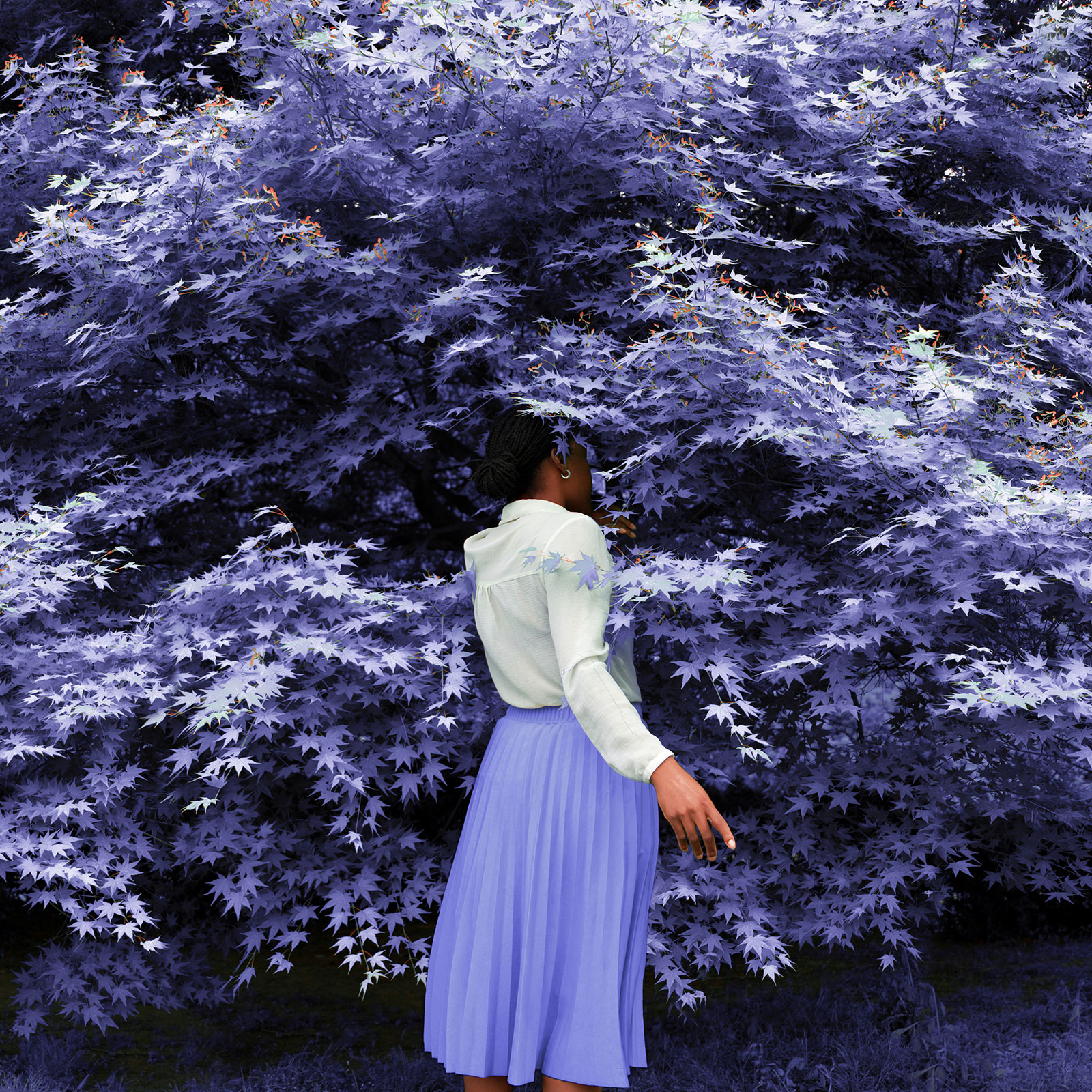 femme entrant dans un buisson de fleurs violettes