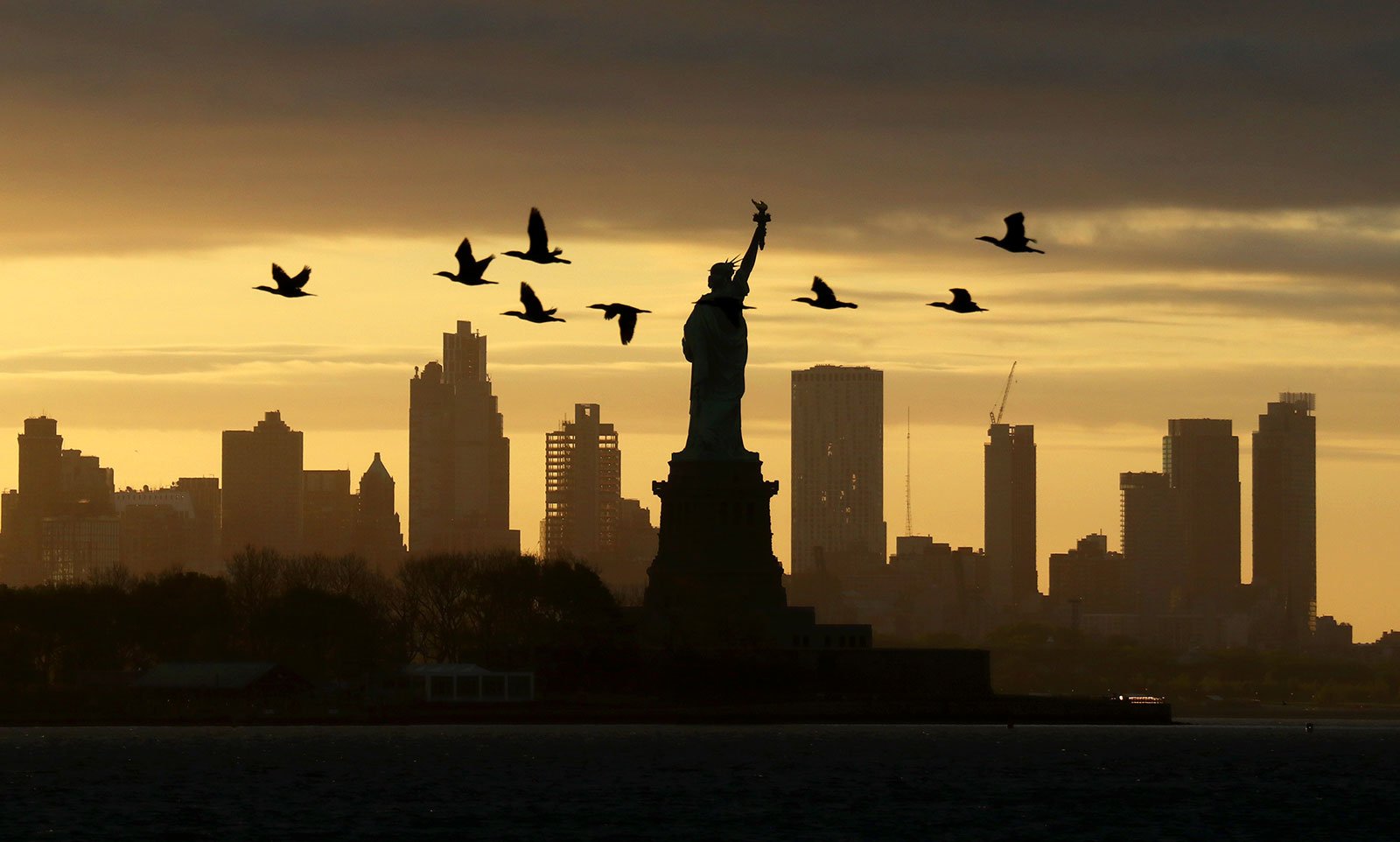 NYC skyline silhouette with birds