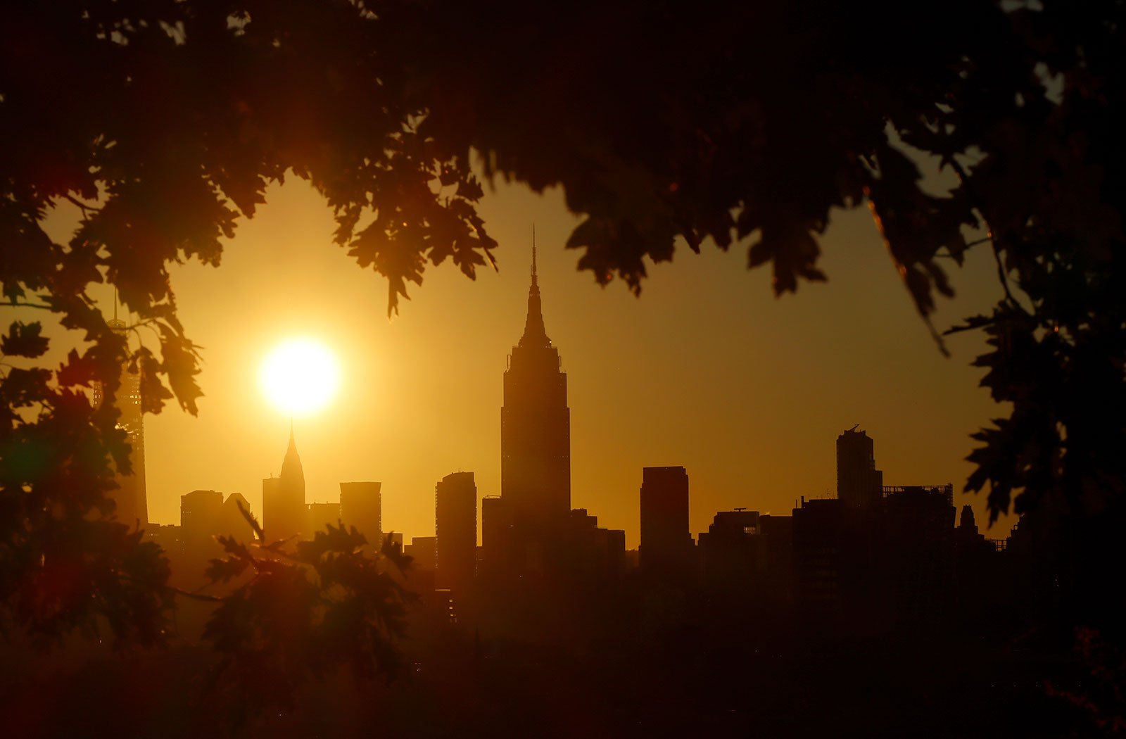 NYC skyline silhouette framed by trees  