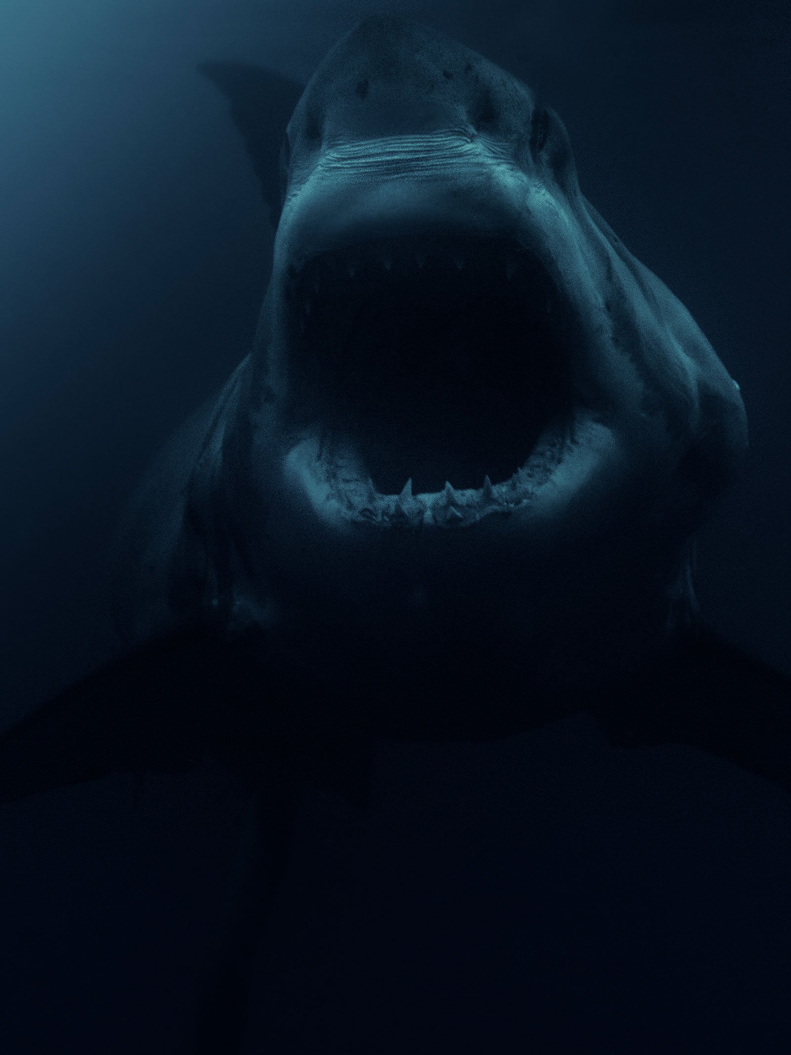 image of shark with open mouth in deep blue waters