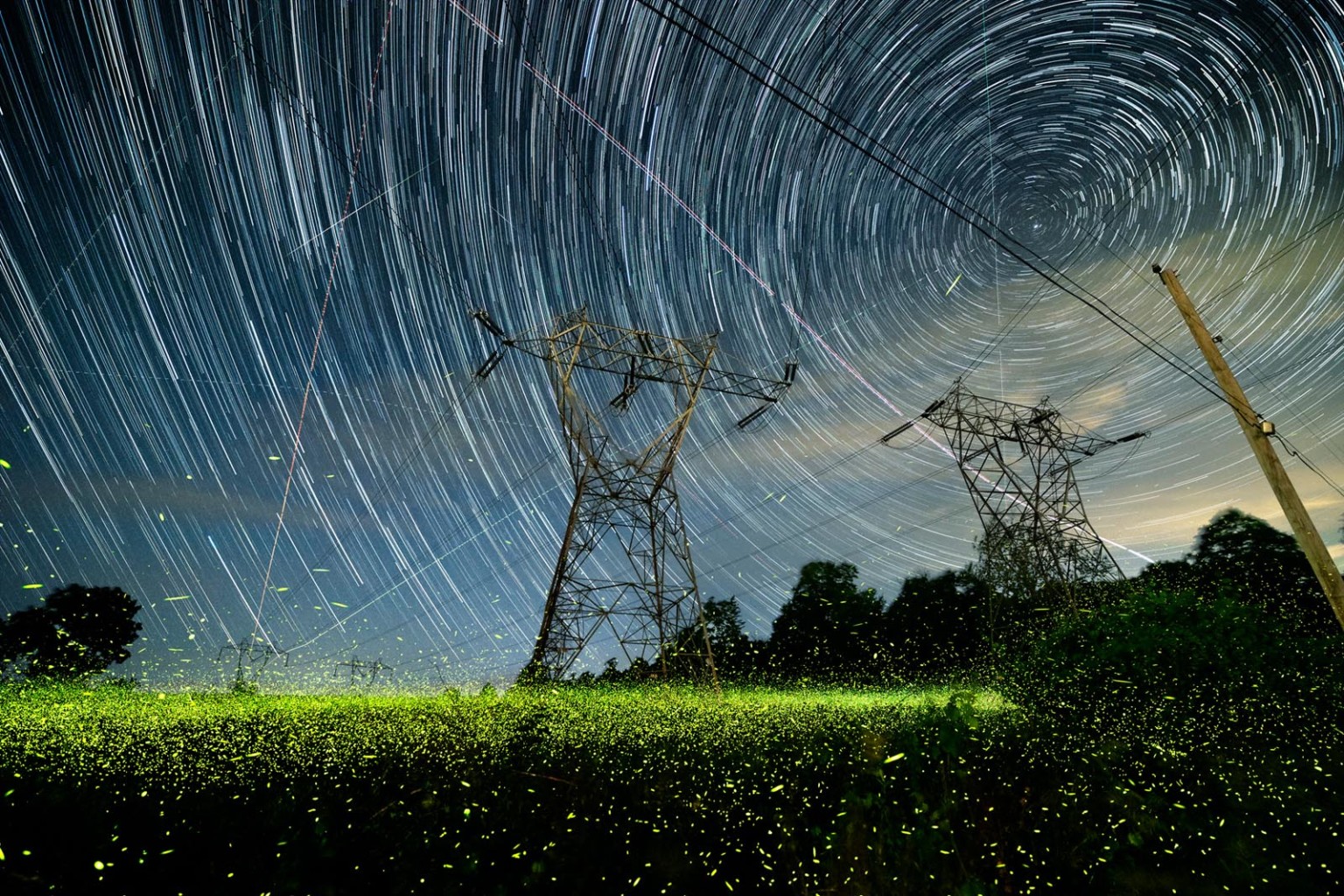 Magical Photos Shed New Light on How Fireflies Interact with the World ...