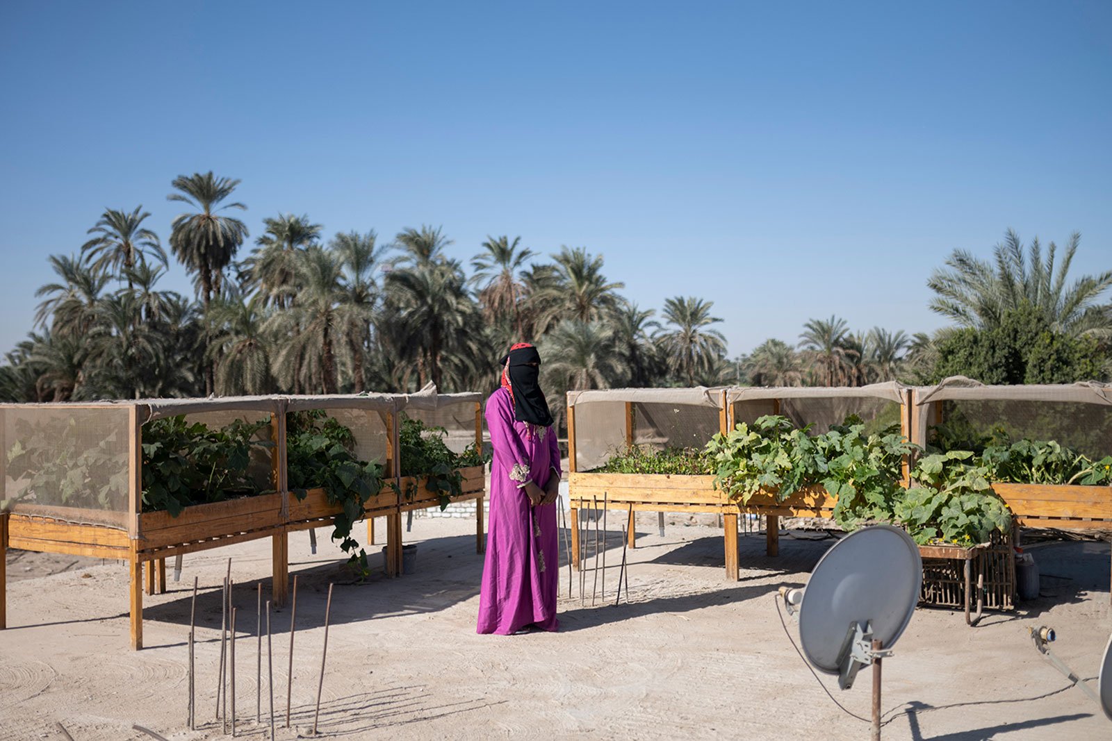 woman in hijab and face covering and palm trees behind her