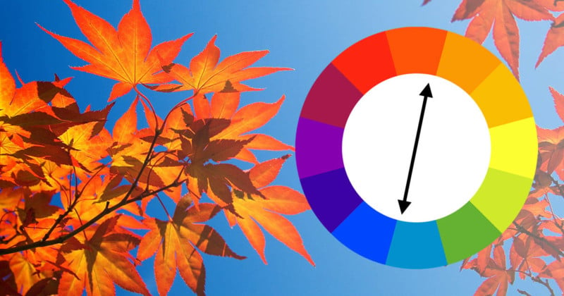 split complementary colors example