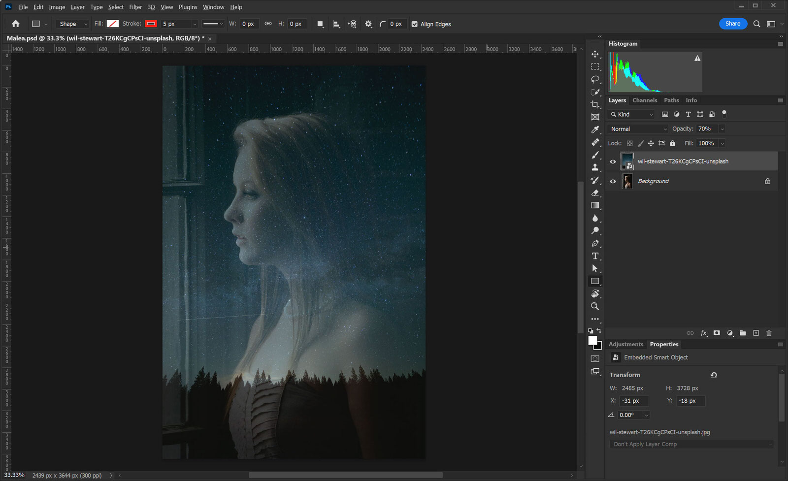 How to Make a Double Exposure Photo in Photoshop | PetaPixel