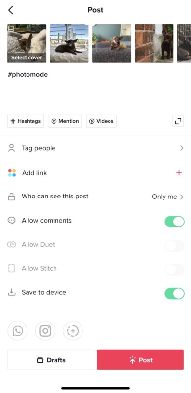 How to Share Photos on TikTok | PetaPixel