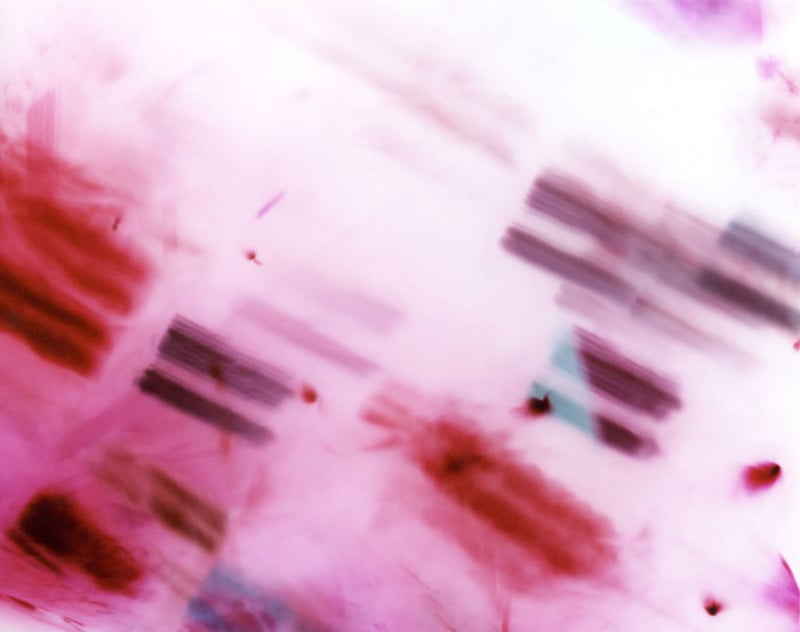Abstract pink and white cyanotype image with red lines