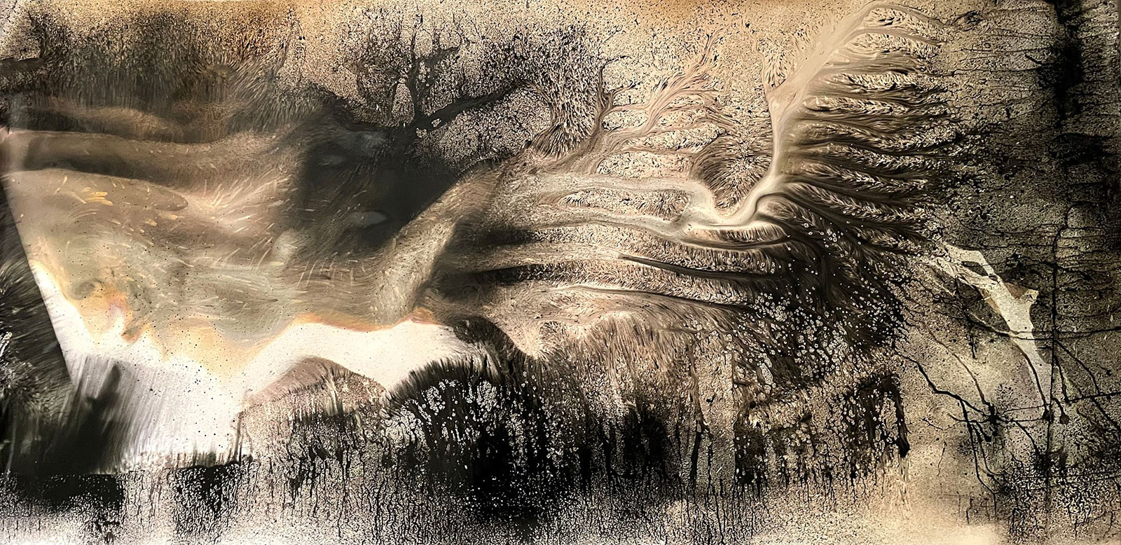 Camera-Less Photographer Creates Beautifully Abstract Cyanotypes ...