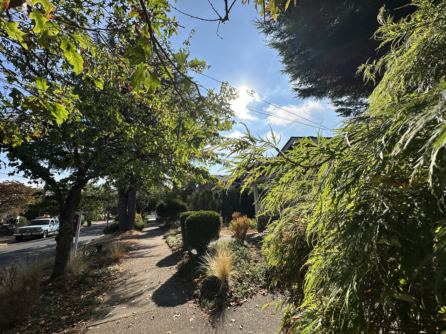 Apple iPhone 14 Pro Review: The Only Camera You Really Need | PetaPixel