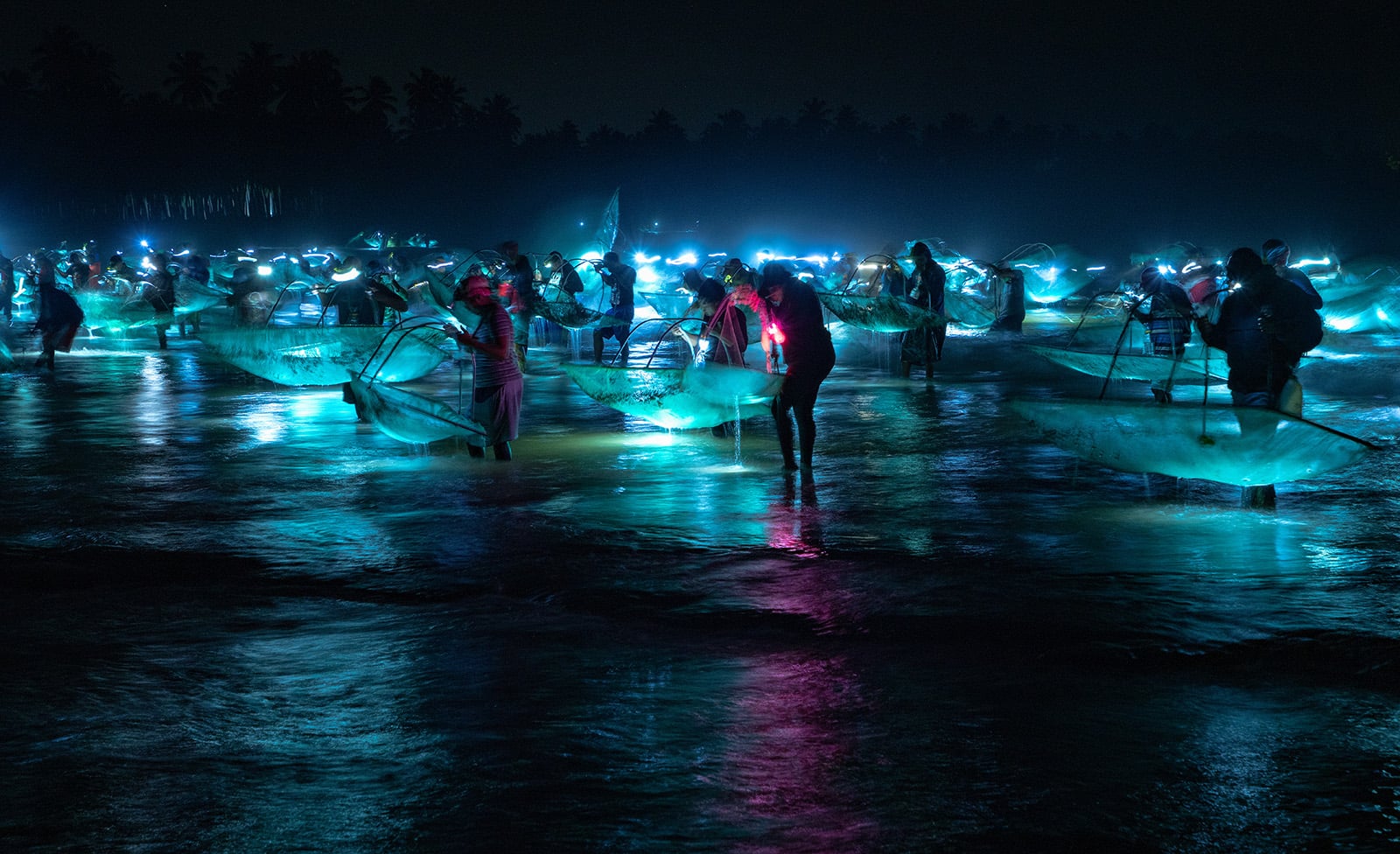 The 25 People's Choice Finalists of Wildlife Photographer of the Year ...