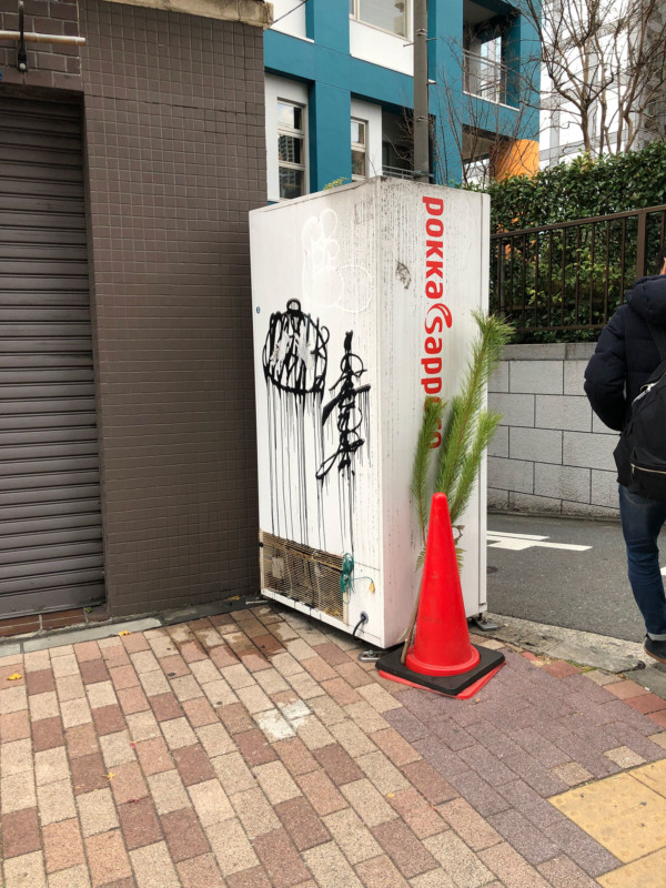 A single traffic cone with pine growing out of it