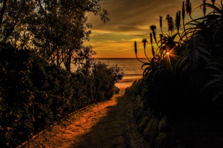 Veterans Teach Photography to Fellow Service Members to Foster Social ...