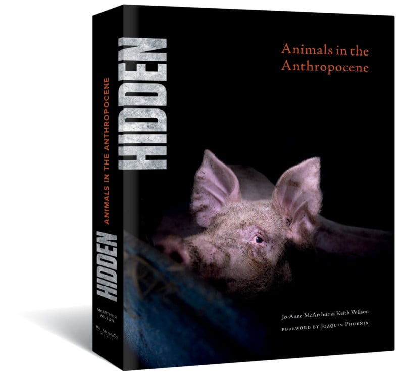 DELA DISCOUNT HIDDEN_3D-Cover_X-Large-1-800x757 Photographer Exposes Animal Abuse and Suffering Worldwide DELA DISCOUNT  