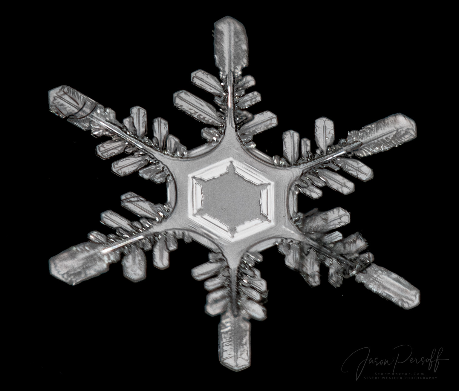 Photographer Seeks Perfectly Formed Snowflakes for Magical Photo Series ...