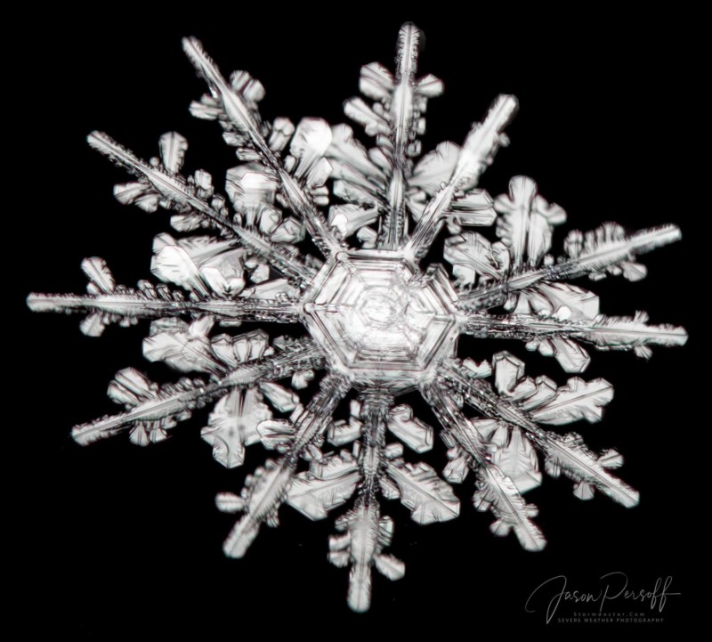 How to Photograph Snowflakes (and Blow Your Mind) — Craig Goodwin  Photography