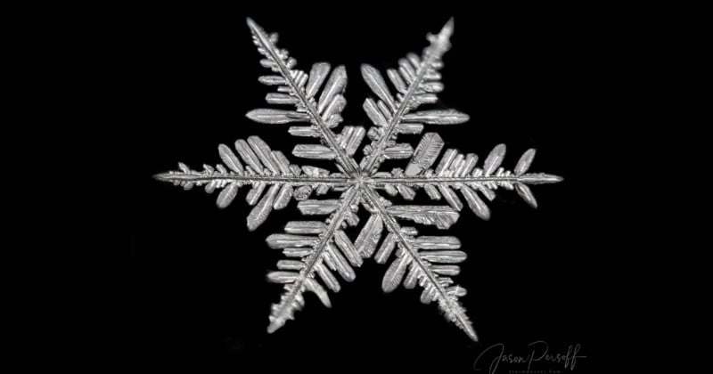 Photographer Seeks Perfectly Formed Snowflakes for Magical Photo Series