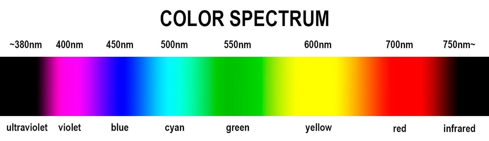 UV Filter: Should You Use One on Your Camera Lens? | PetaPixel