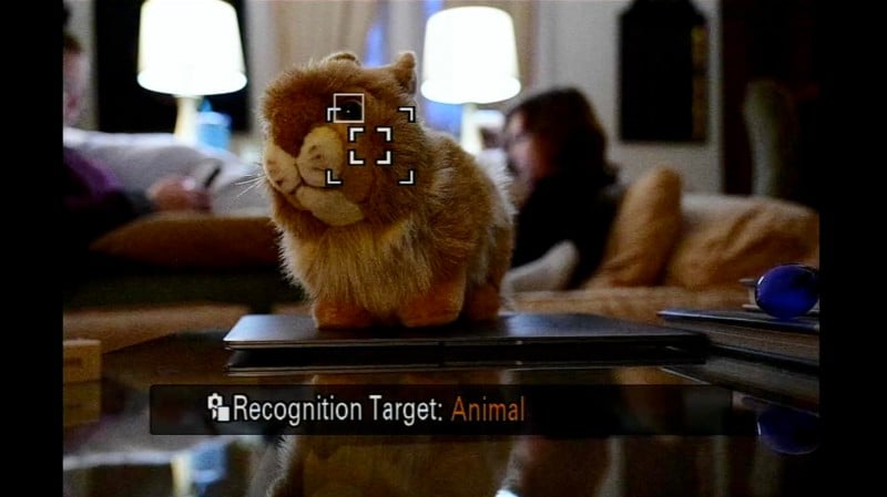 Recogntion Target