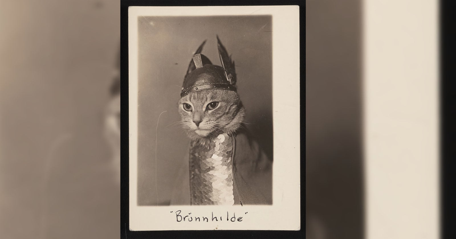 Enjoy This 'Freshly Digitized' 1936 Photo of a Cat Dressed as Brünnhilde