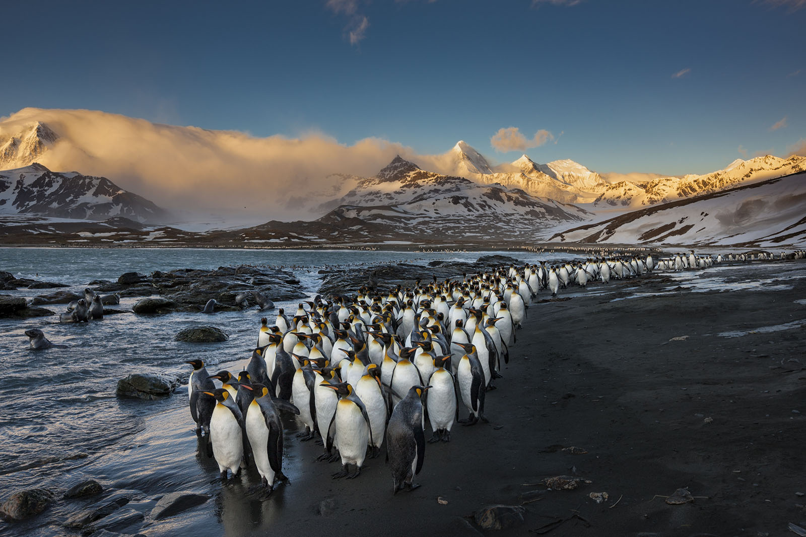 paul-nicklen-using-photography-for-conservation-petapixel