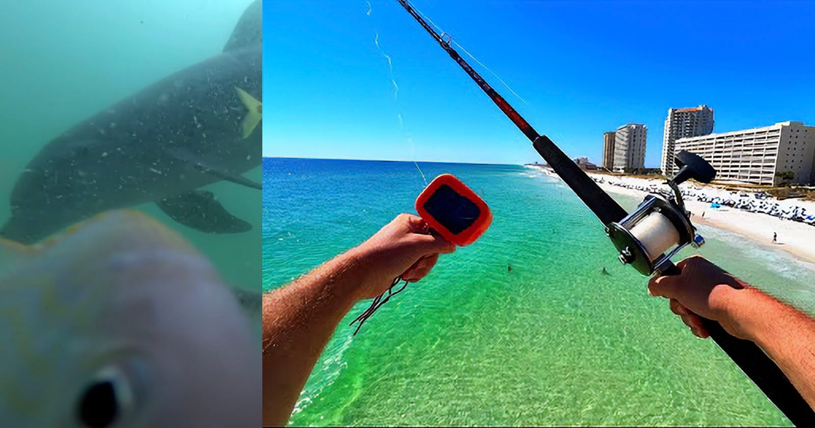 Man Drops GoPro into Water after Wondering 'What's Going on' in