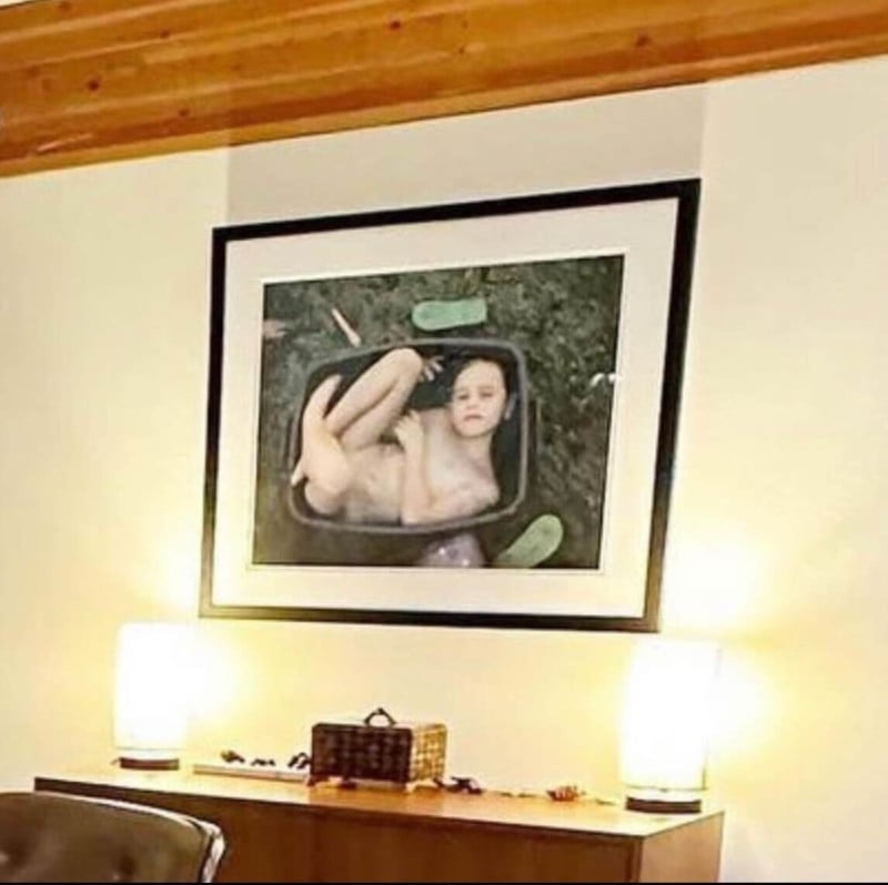 Jamie Lee Curtis Sparks Uproar Over Framed Photo of Naked Child in Box |  PetaPixel